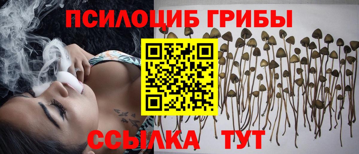 Галлюциногенные грибы ЛСД  купить наркотик  Глазов 