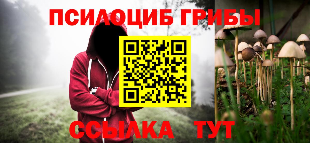 Галлюциногенные грибы прущие грибы  Вход с VPN  Глазов 